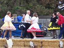 Click for large image